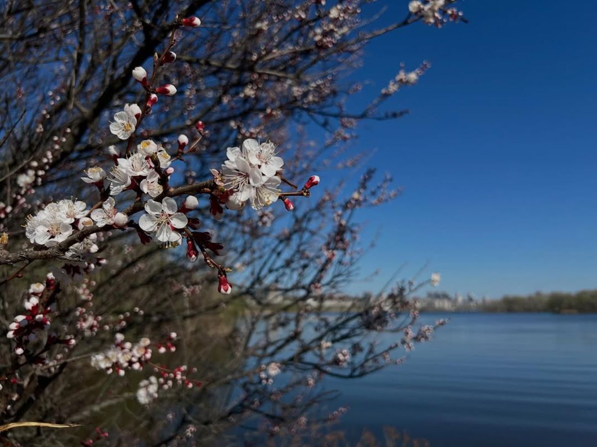 Фото: @iryna_bog Фото: @iryna_bog