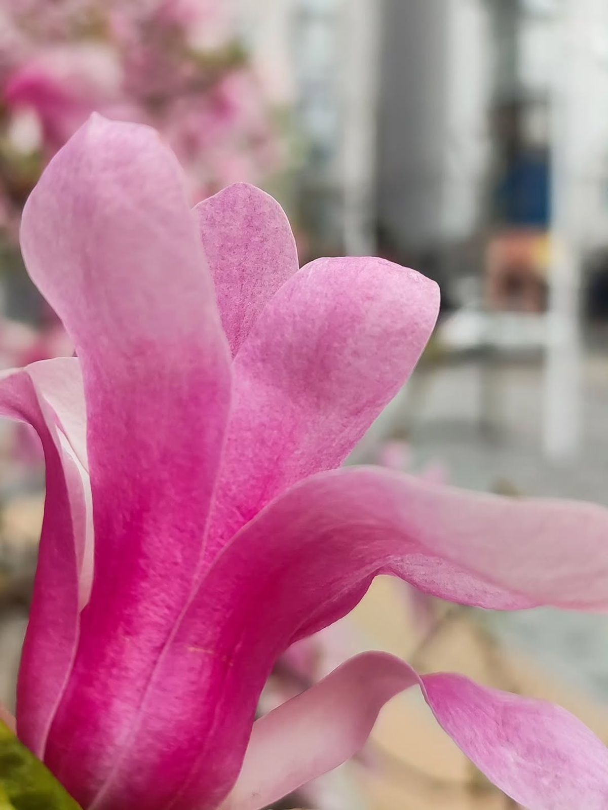 Фото: @mariya_romanova777 Фото: @mariya_romanova777