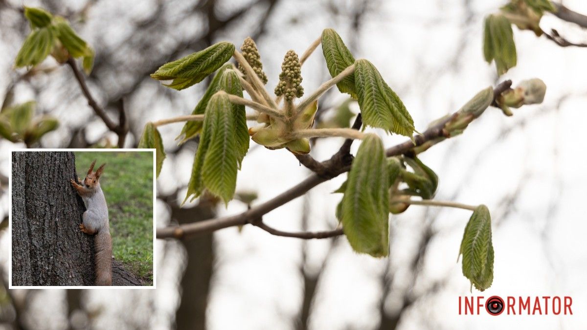 Погода на 13 квітня: у Дніпрі буде хмарно