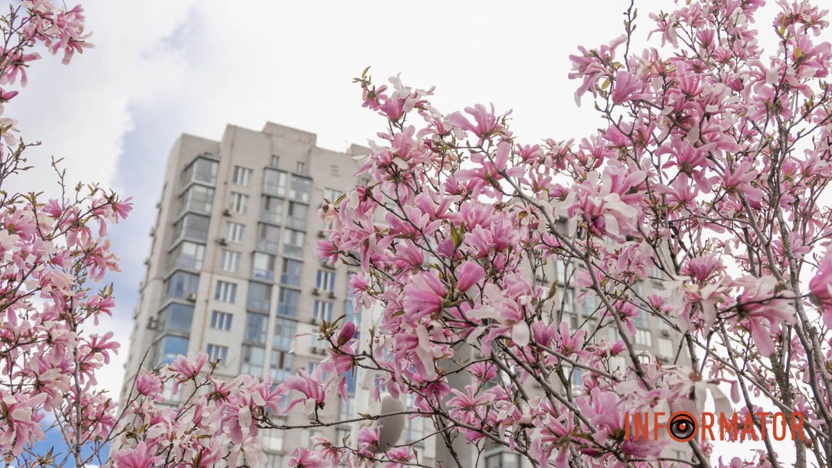 Погода на 15 апреля: в Днепре будет облачно с прояснениями