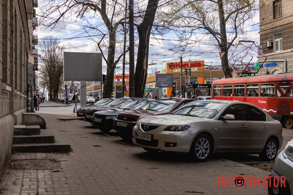 Підлягало спилу: у Дніпрі на Архітектора Олега Петрова величезна гілка впала на жінку 9