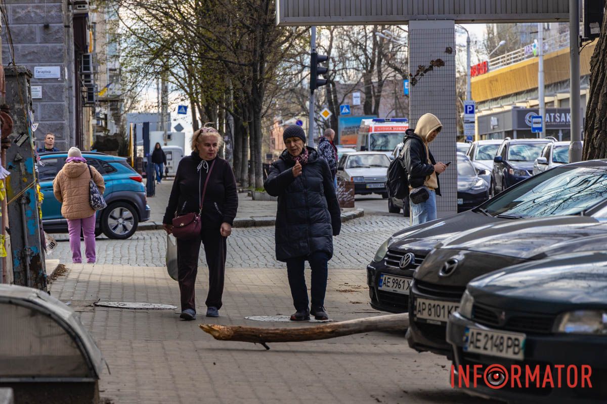 Підлягало спилу: у Дніпрі на Архітектора Олега Петрова величезна гілка впала на жінку 1