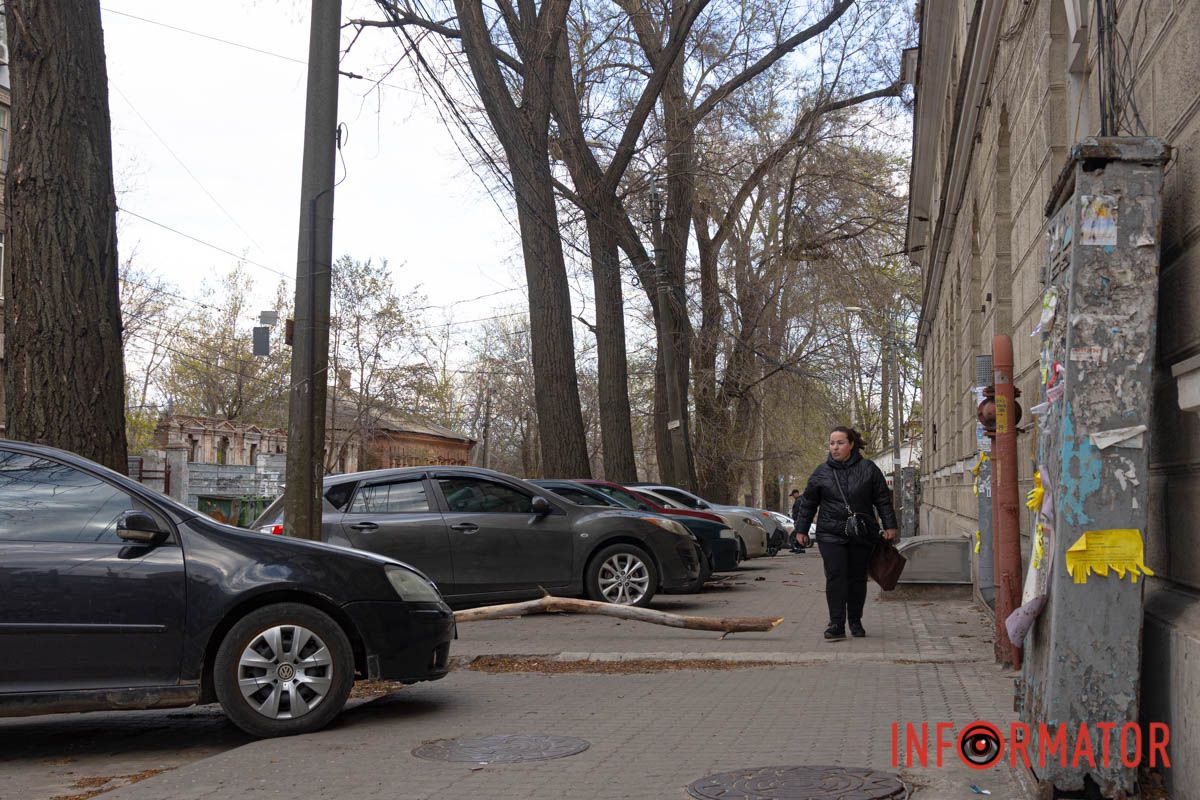 Підлягало спилу: у Дніпрі на Архітектора Олега Петрова величезна гілка впала на жінку 7