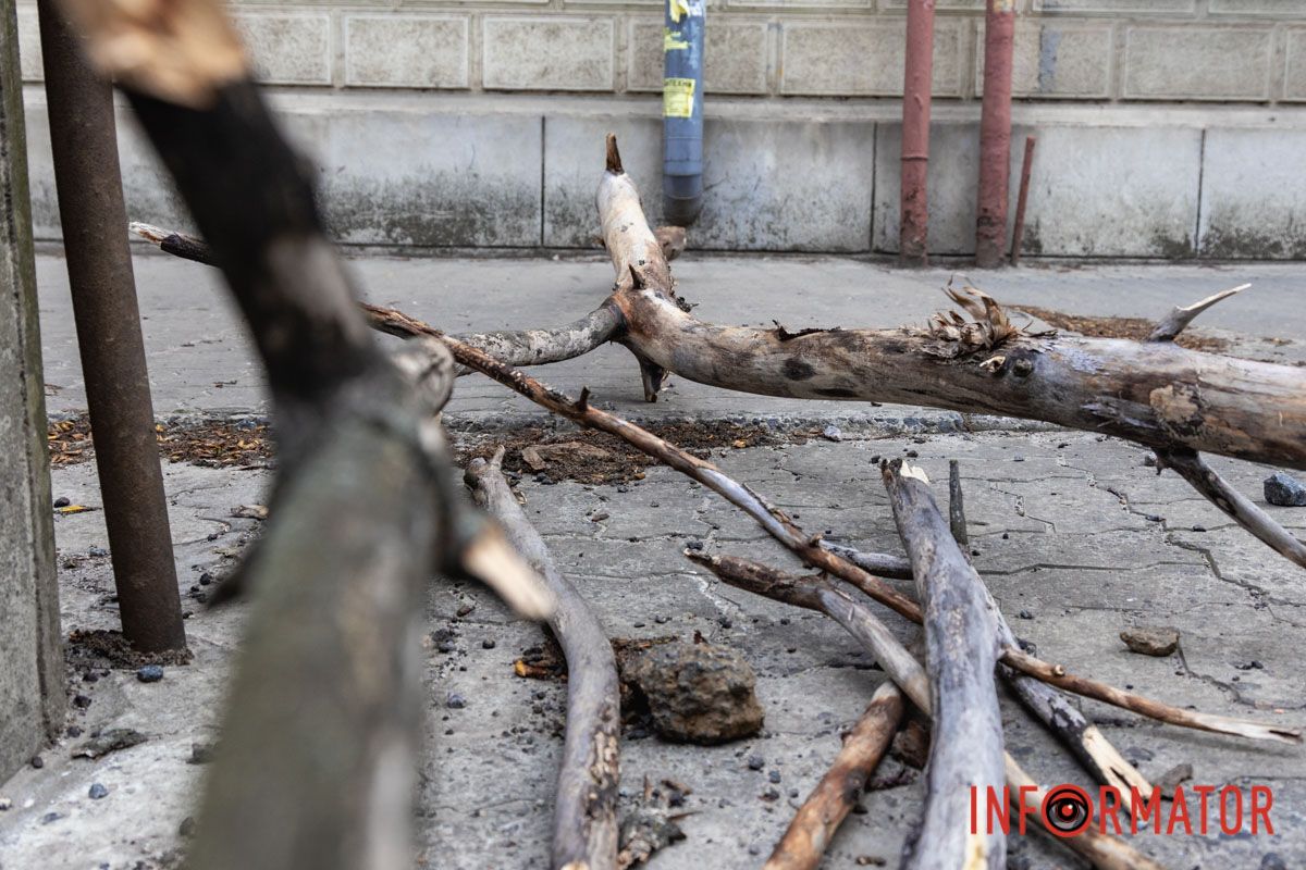 Підлягало спилу: у Дніпрі на Архітектора Олега Петрова величезна гілка впала на жінку 5