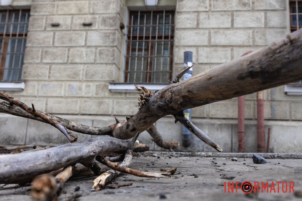 Підлягало спилу: у Дніпрі на Архітектора Олега Петрова величезна гілка впала на жінку 3