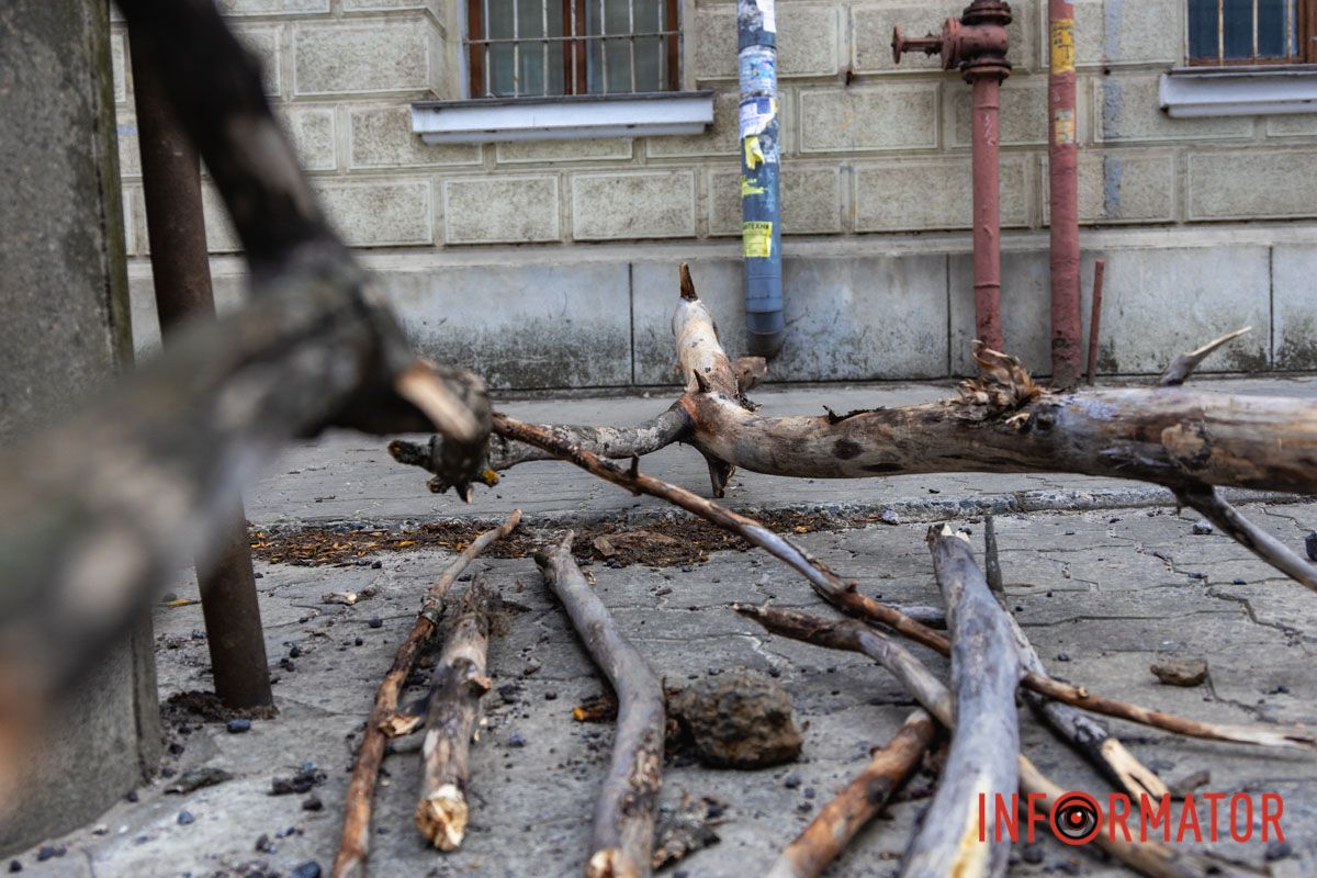Підлягало спилу: у Дніпрі на Архітектора Олега Петрова величезна гілка впала на жінку 11