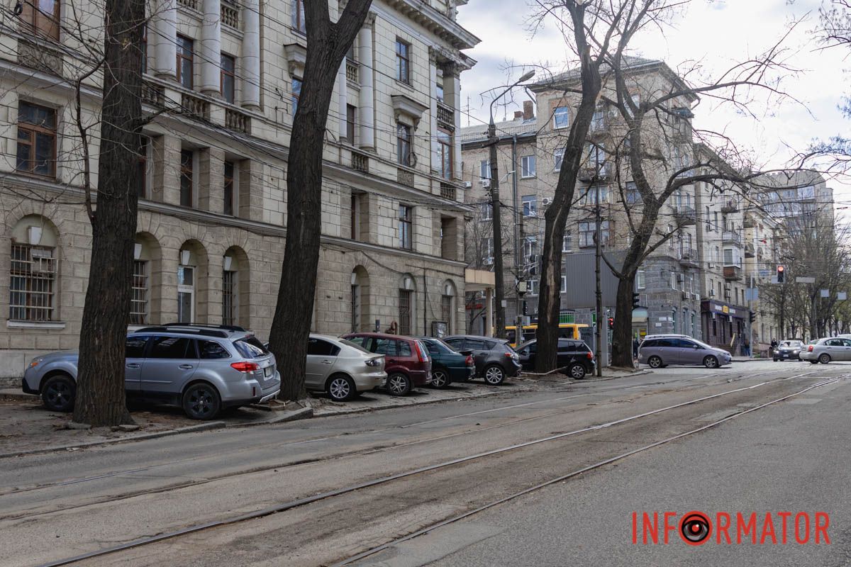 Підлягало спилу: у Дніпрі на Архітектора Олега Петрова величезна гілка впала на жінку 6