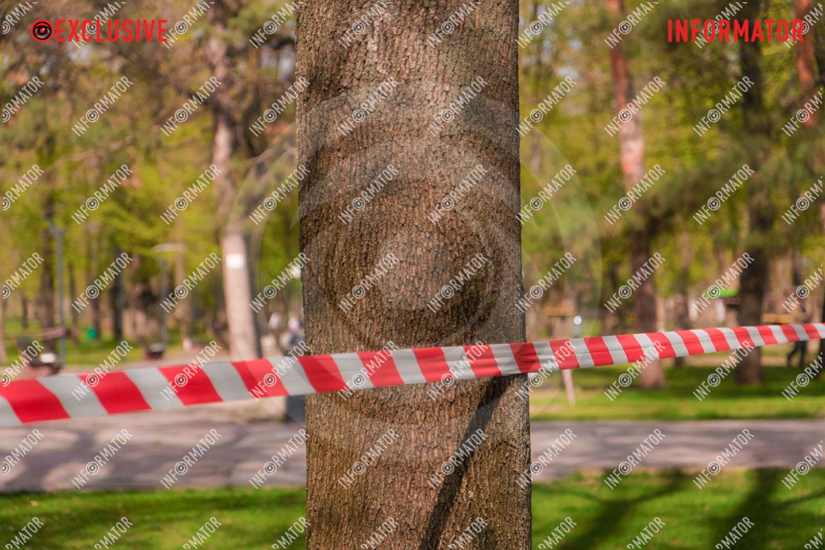 Дрони впали біля дитячого майданчика: що відбувається у парку Шевченка у Дніпрі 27