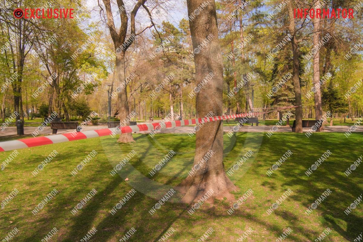 Дрони впали біля дитячого майданчика: що відбувається у парку Шевченка у Дніпрі 24