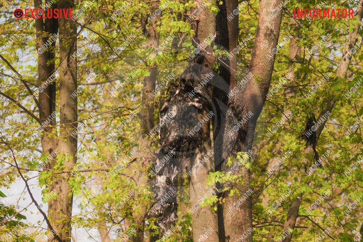 Дрони впали біля дитячого майданчика: що відбувається у парку Шевченка у Дніпрі 20