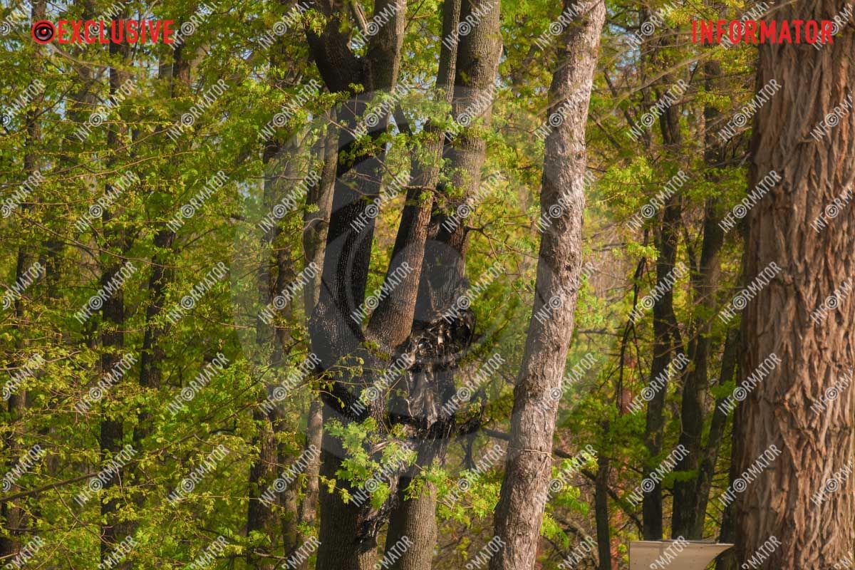 Дрони впали біля дитячого майданчика: що відбувається у парку Шевченка у Дніпрі 9