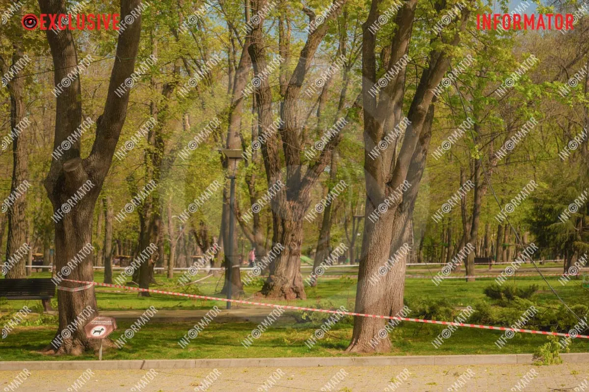 Дрони впали біля дитячого майданчика: що відбувається у парку Шевченка у Дніпрі 5