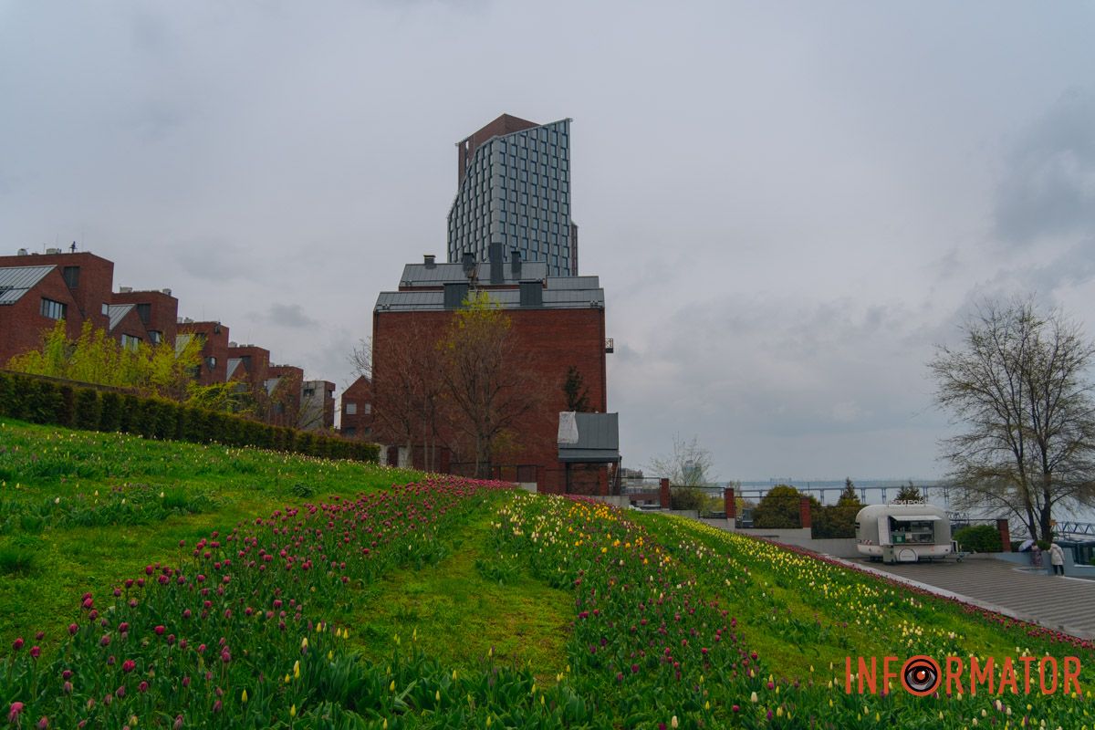 Квіткове диво: у парку Шевченка в Дніпрі розквітли сотні тюльпанів 12