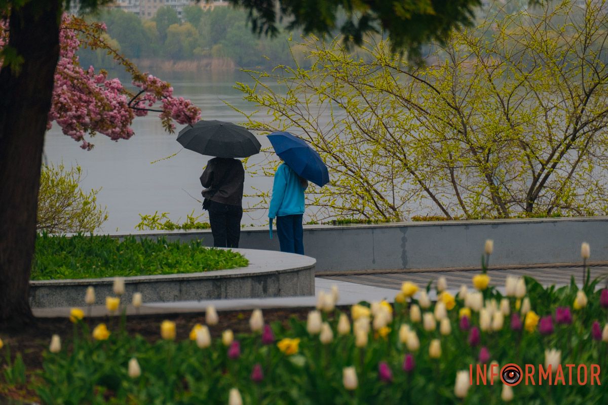 Квіткове диво: у парку Шевченка в Дніпрі розквітли сотні тюльпанів 15