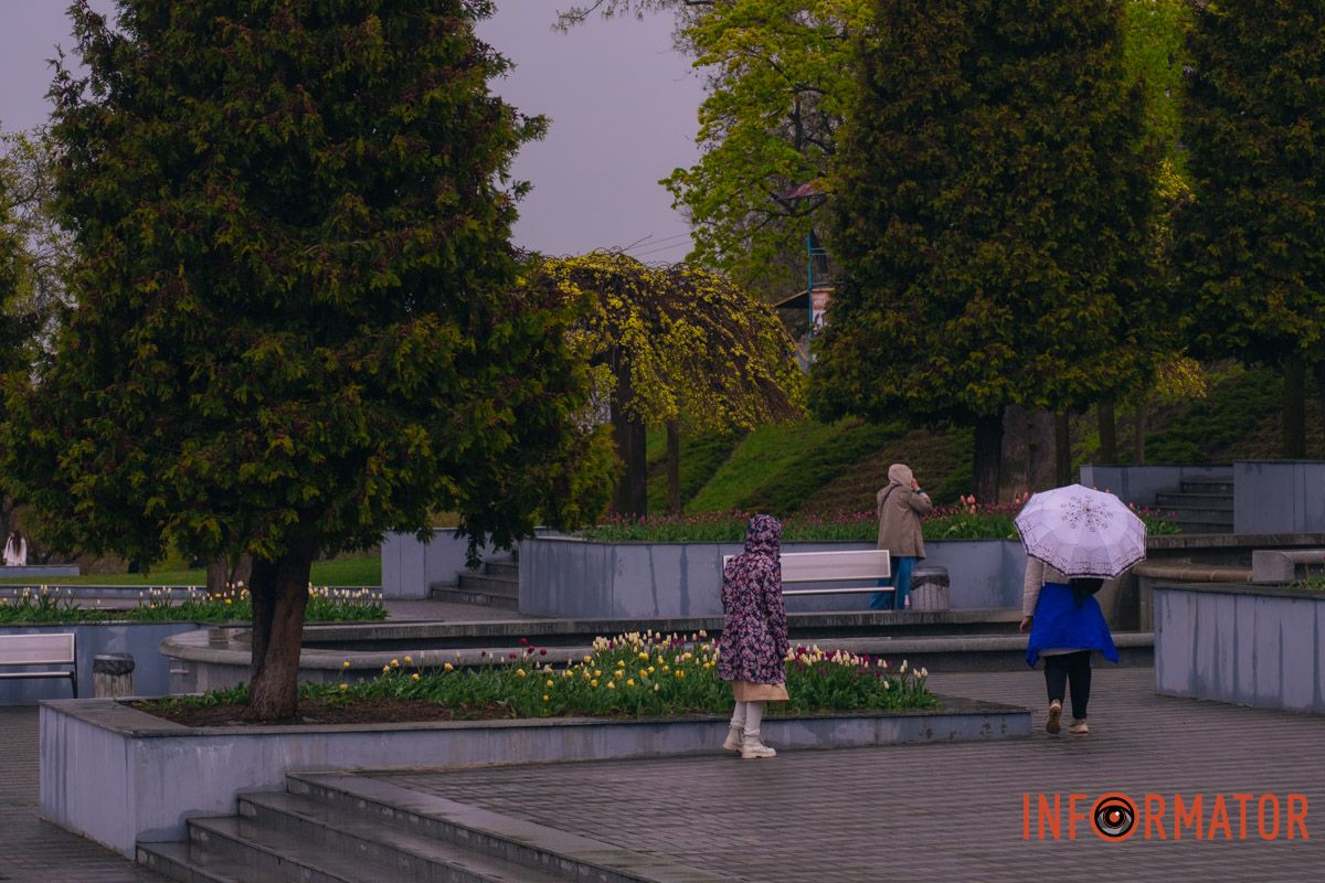 Квіткове диво: у парку Шевченка в Дніпрі розквітли сотні тюльпанів 32