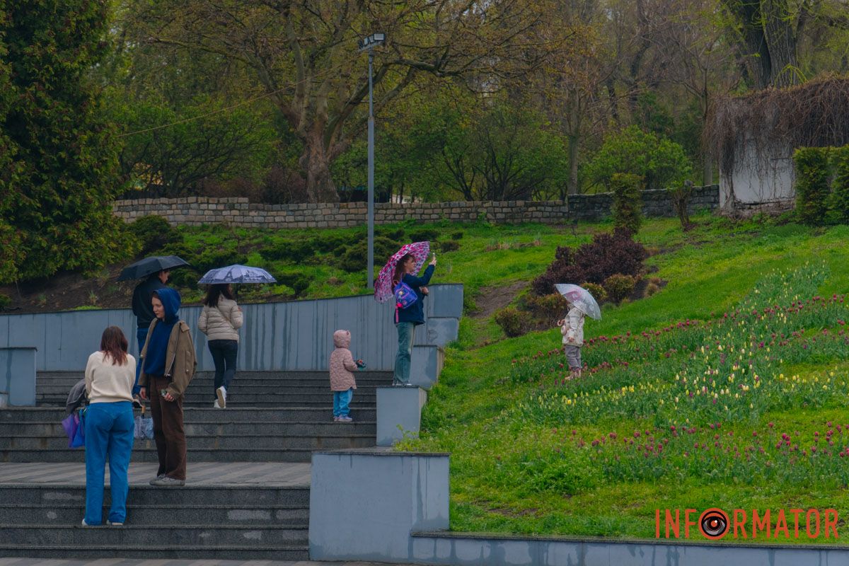 Квіткове диво: у парку Шевченка в Дніпрі розквітли сотні тюльпанів 47