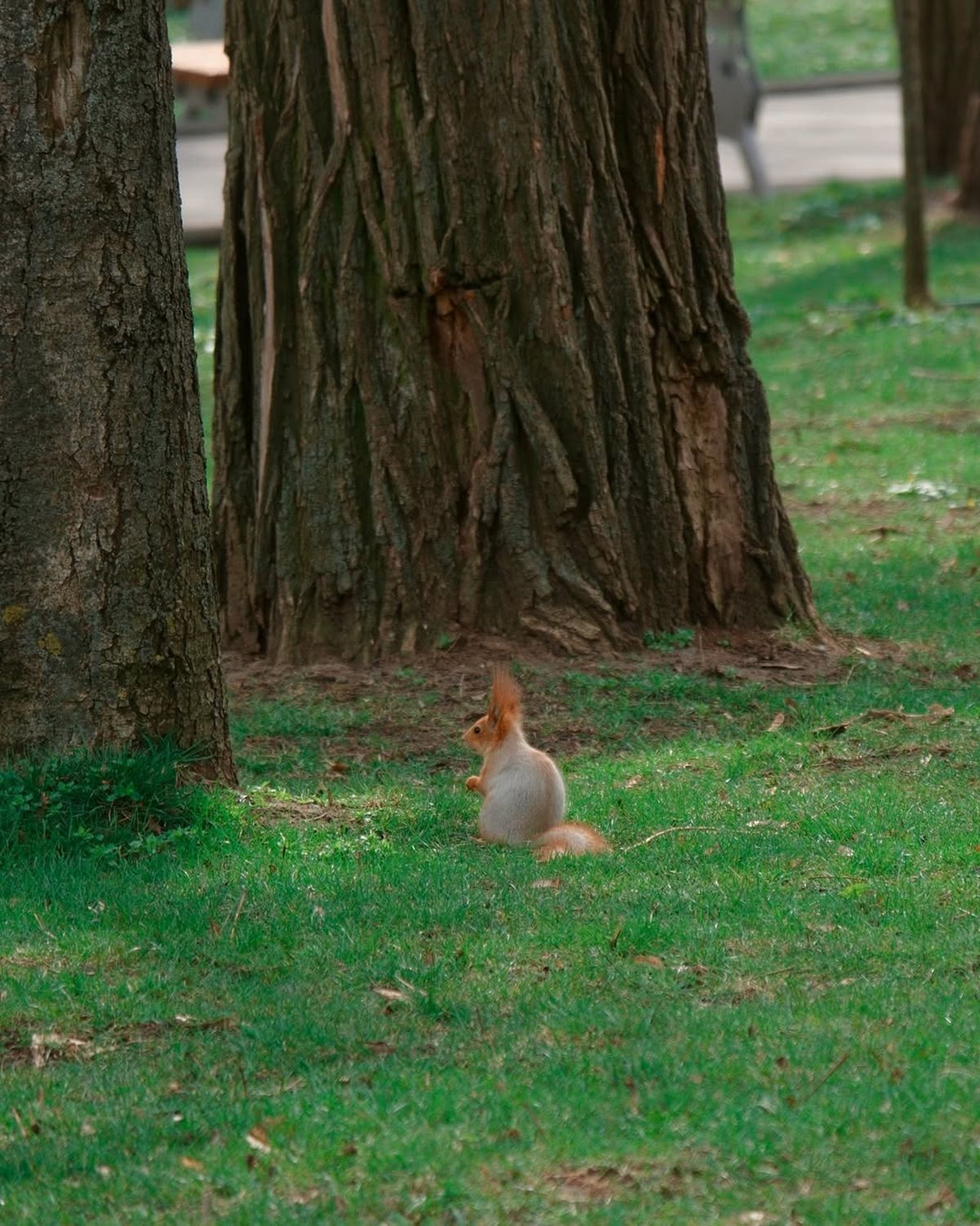 Якби у Дніпра був Instagram: топ красивих світлин міста 1