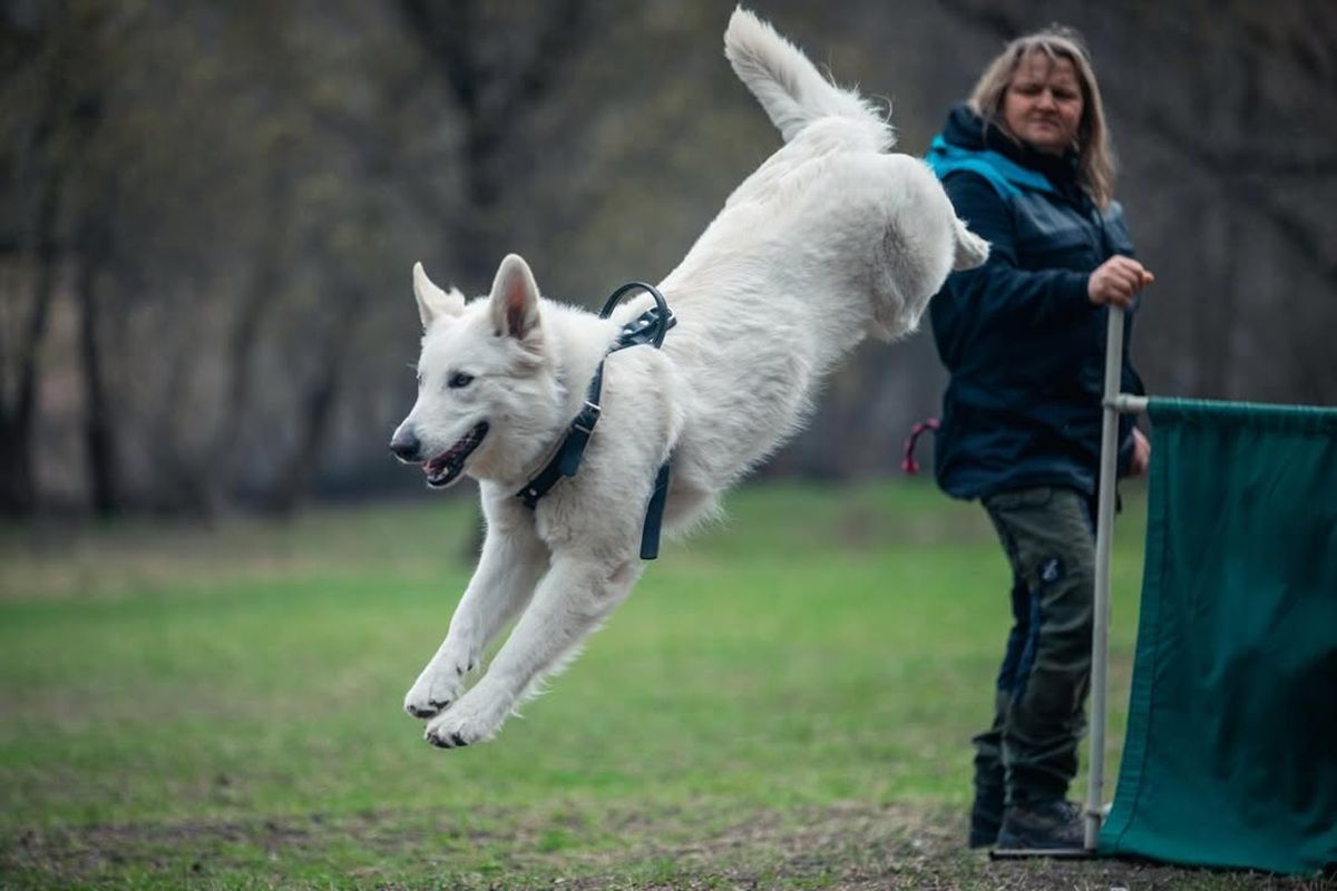 Якби у Дніпра був Instagram: топ красивих світлин міста 10