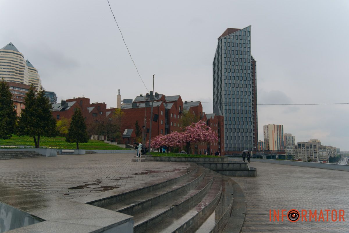 Японская весна в городе: в Днепре расцвели сакуры и декоративные деревья.