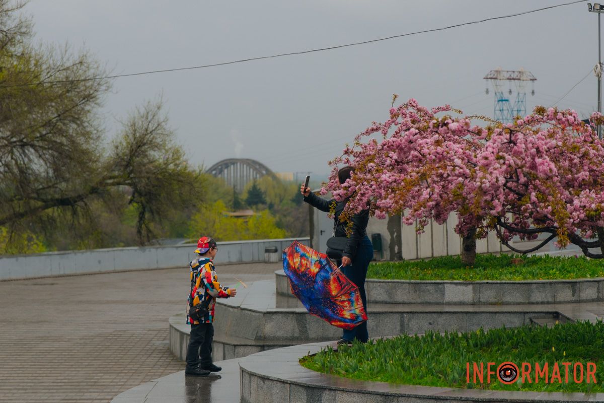 Японская весна в городе: в Днепре расцвели сакуры и декоративные деревья 36