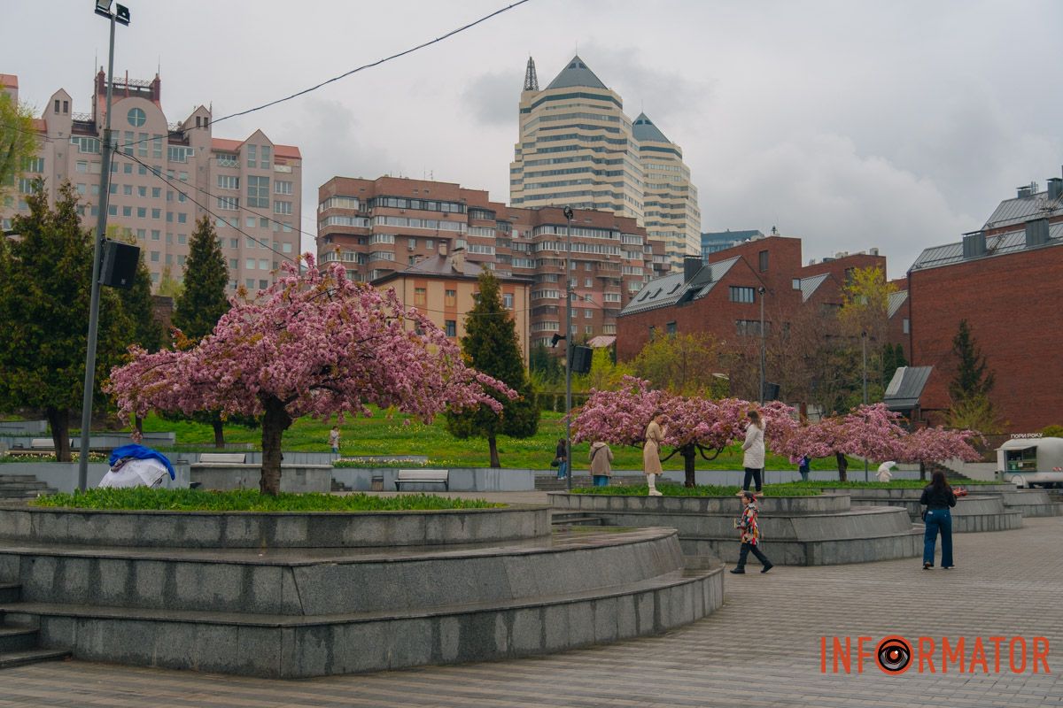 Японская весна в городе: в Днепре расцвели сакуры и декоративные деревья 47