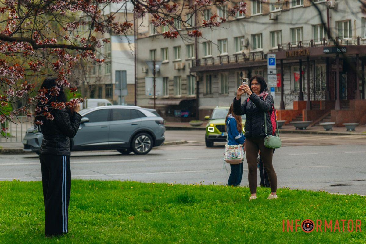 Японская весна в городе: в Днепре расцвели сакуры и декоративные деревья 76