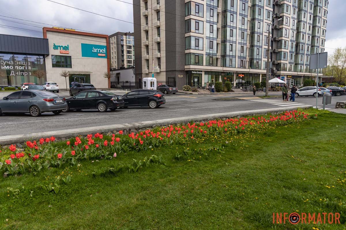 Місто занурилось у весняні фарби: у Дніпрі розквітли тюльпани 7