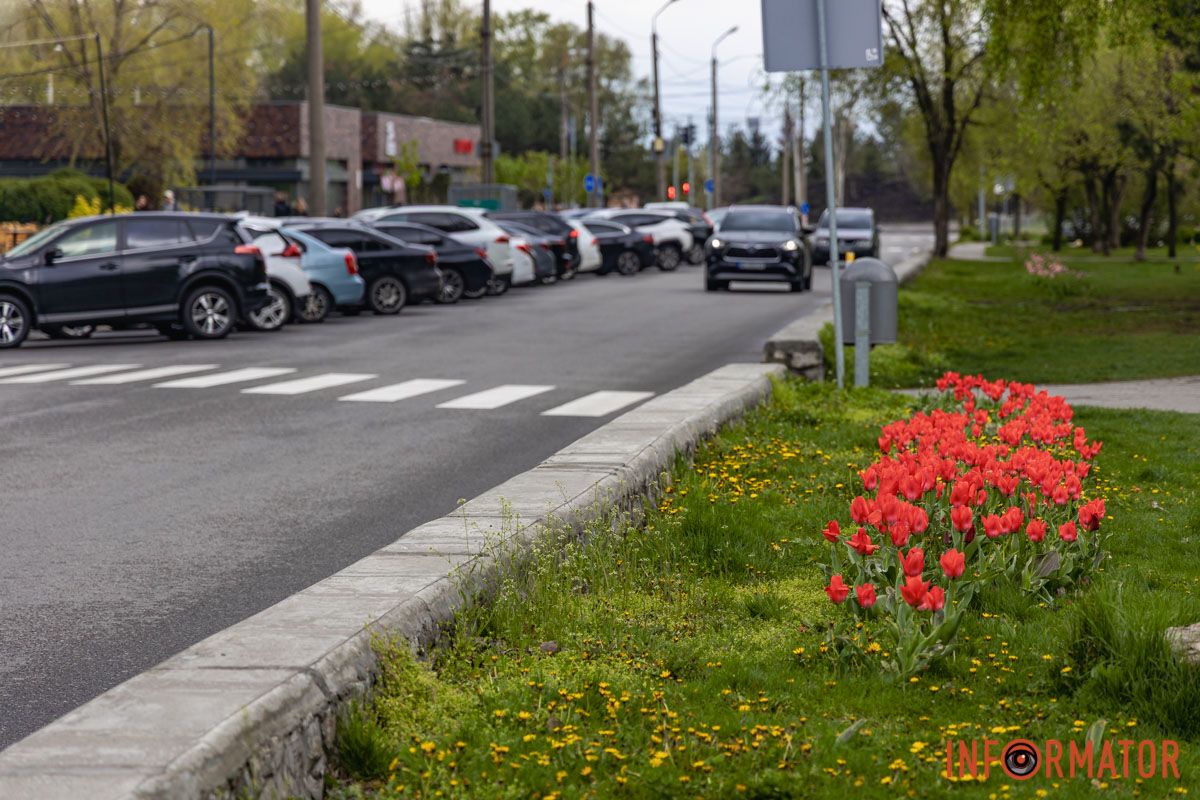 Місто занурилось у весняні фарби: у Дніпрі розквітли тюльпани 20