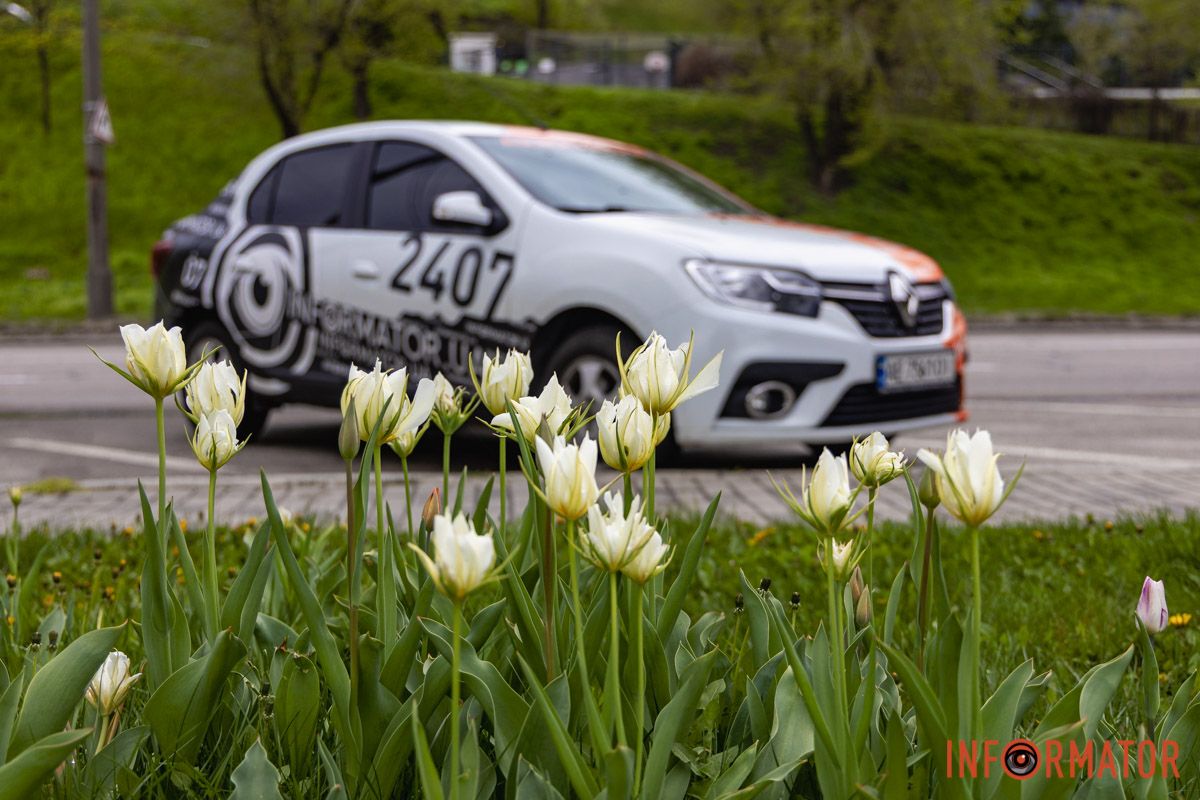 Місто занурилось у весняні фарби: у Дніпрі розквітли тюльпани 28