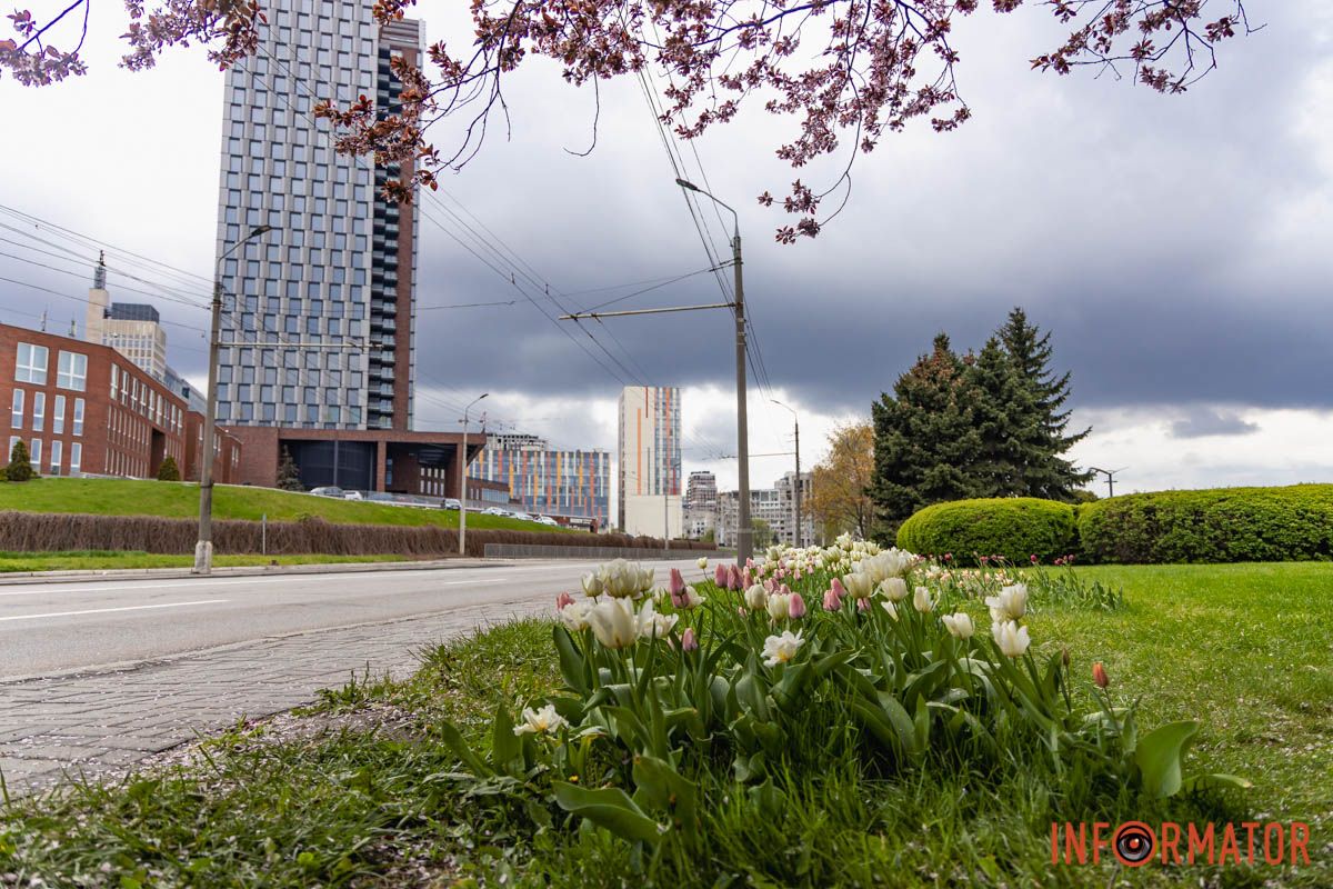 Місто занурилось у весняні фарби: у Дніпрі розквітли тюльпани 30