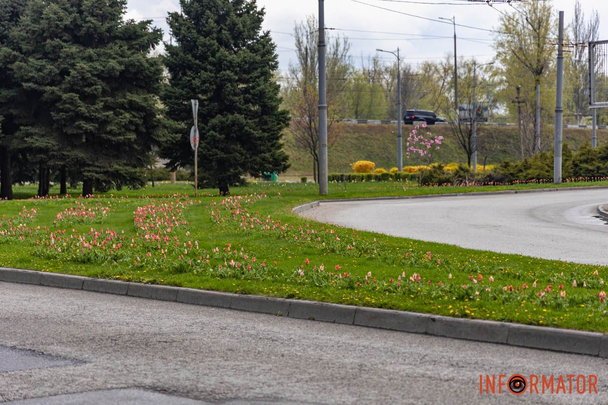 Кольори життя