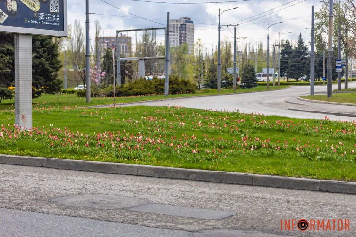 Час для фото