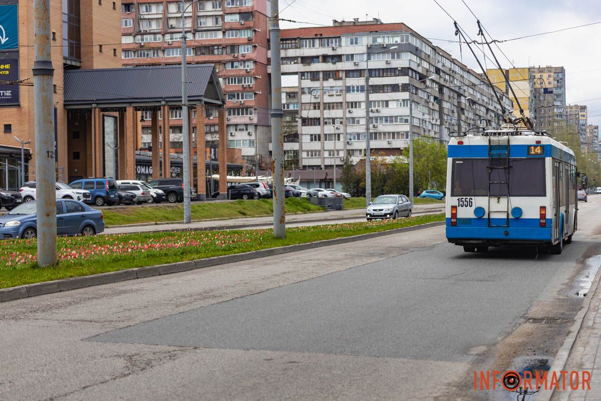 Яскраві клумби