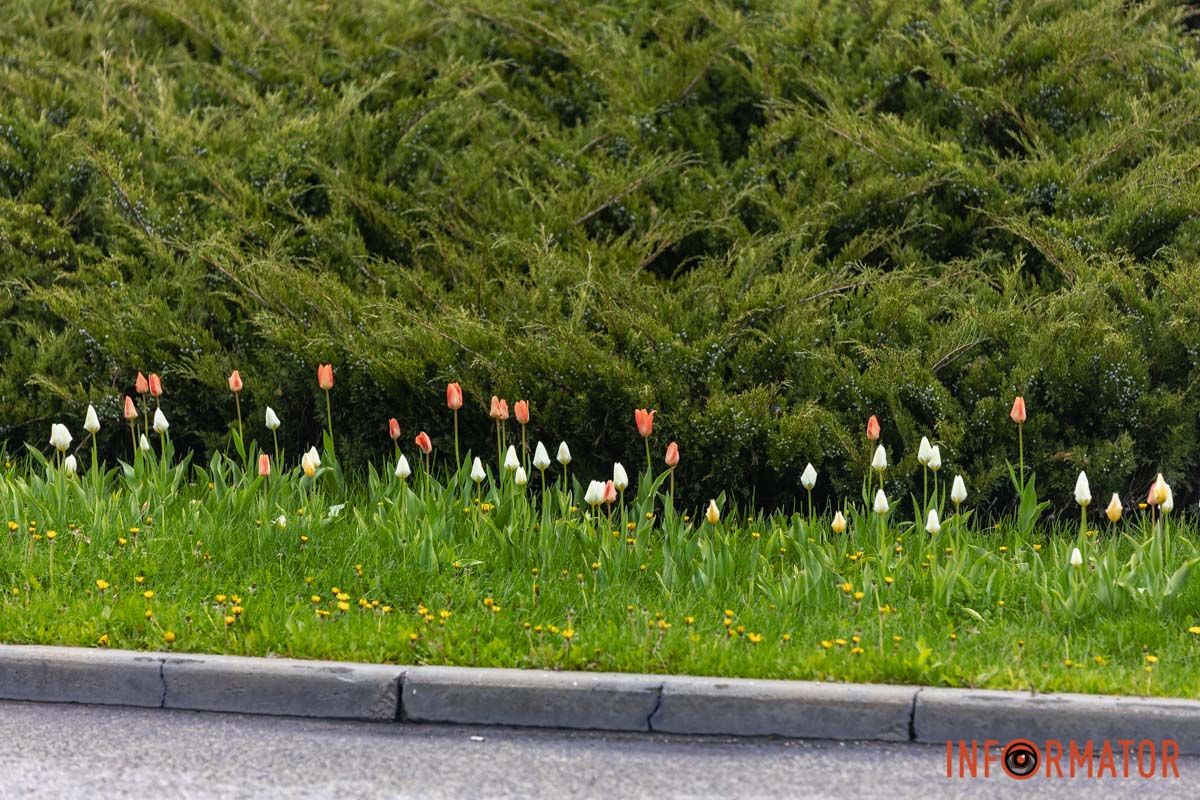 Весняна казка