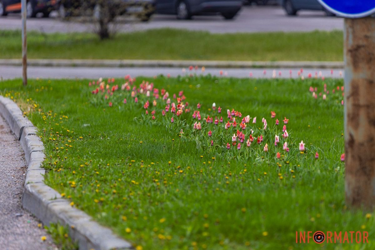 Квітковий релакс