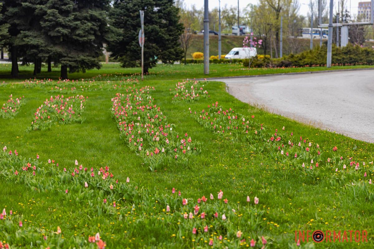 Краса без слів