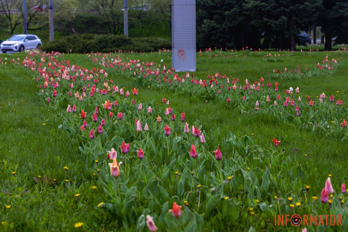 Квіткові емоції