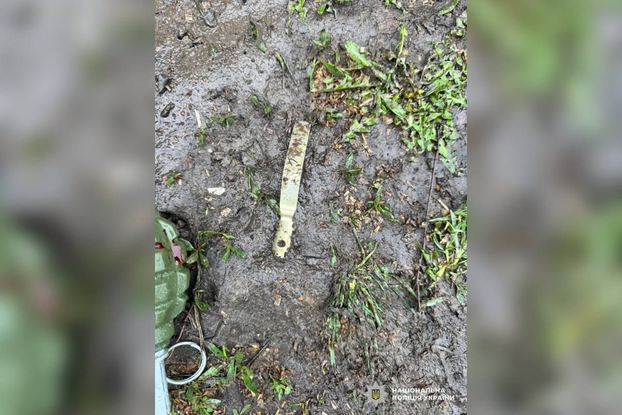 Несмотря на полученные ранения, полицейские смогли задержать правонарушителя