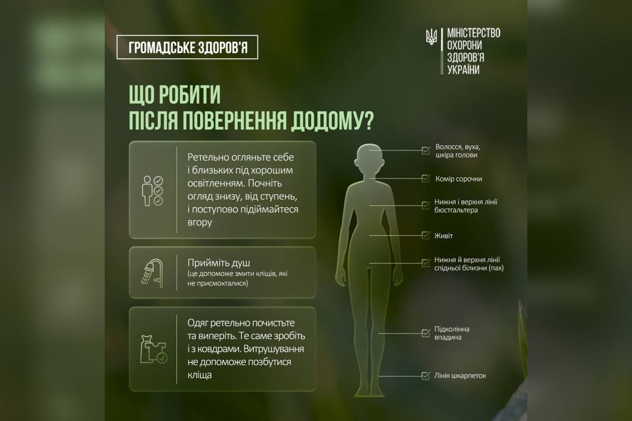 каждые два часа во время прогулки и обязательно по возвращении домой тщательно осматривайте себя