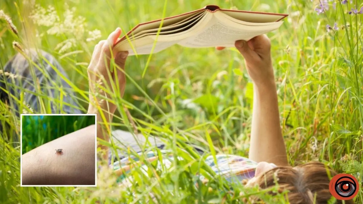Сезон клещей в Украине: в МОЗ напомнили, как уберечься во время прогулок и отдыха