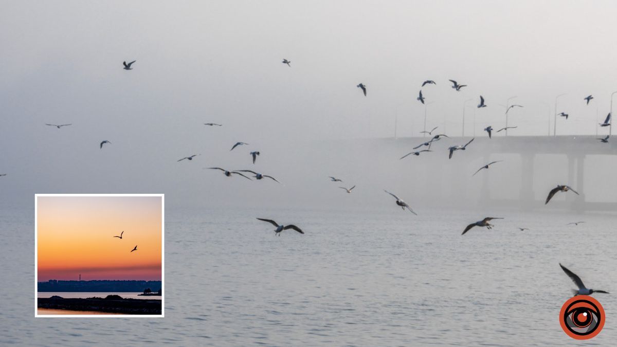 Погода на 22 апреля: в Днепре в течение дня будет пасмурно