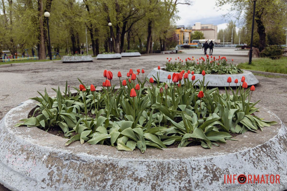 Весна розквітла у Дніпрі в парку Лазаря Глоби