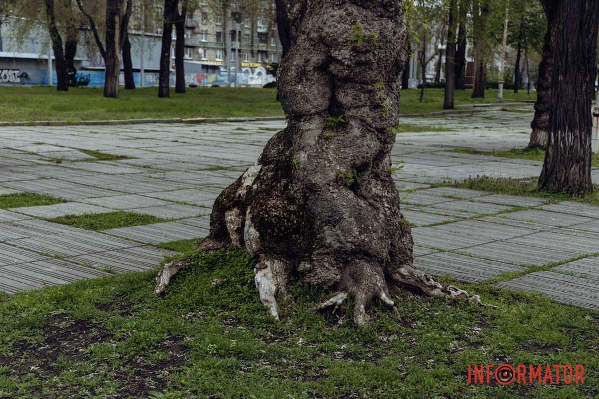 Фото - Маргарита Горбунова