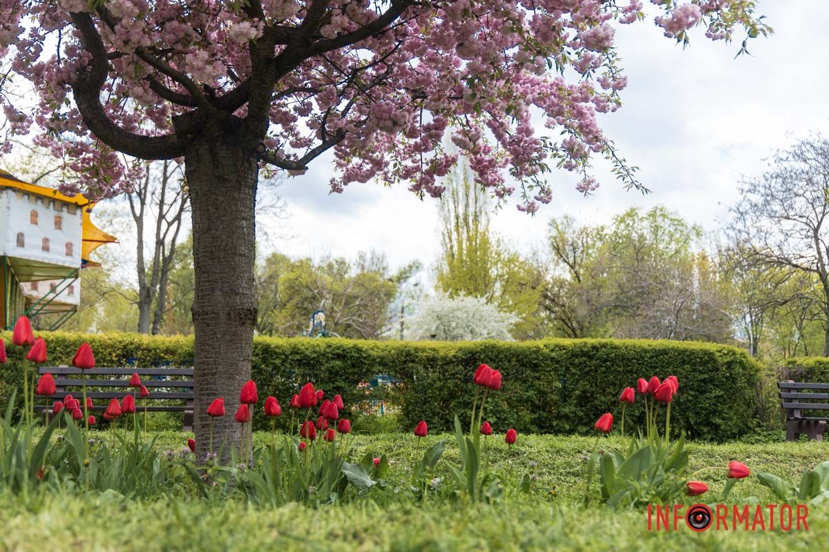 Весняна легкість у повітрі