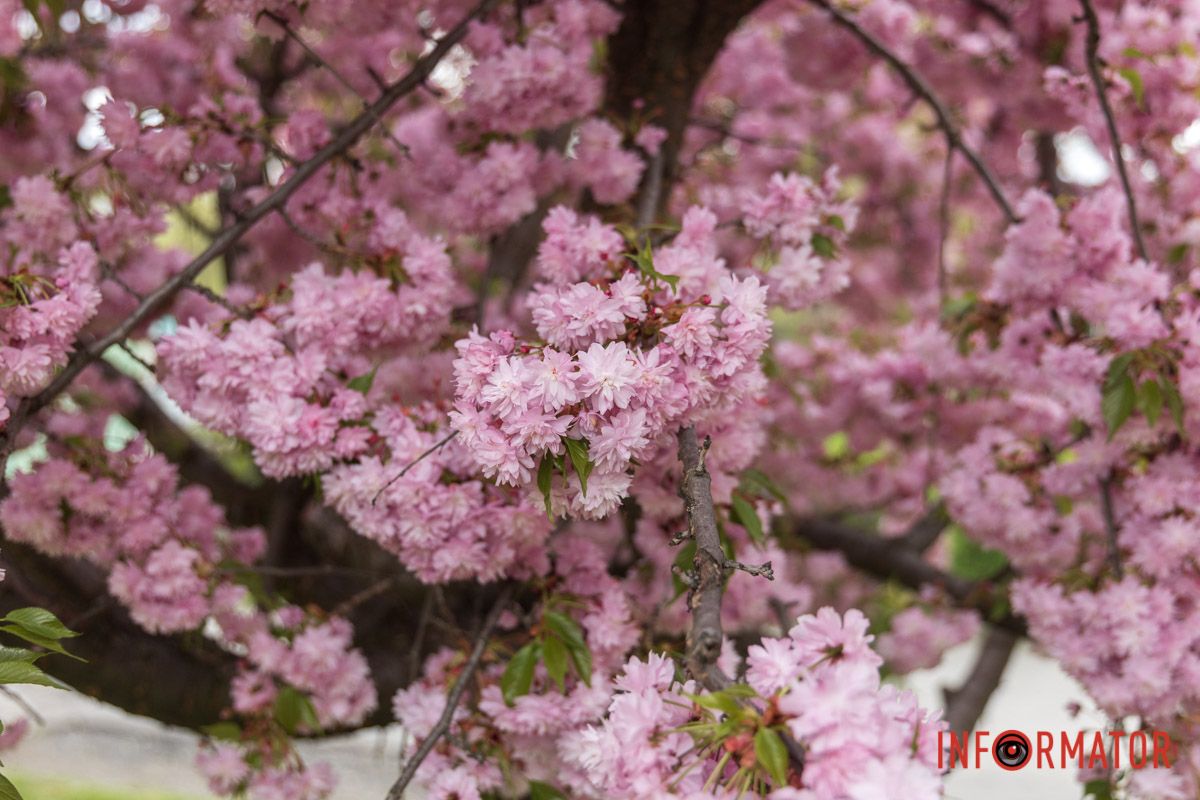 Невимовна краса