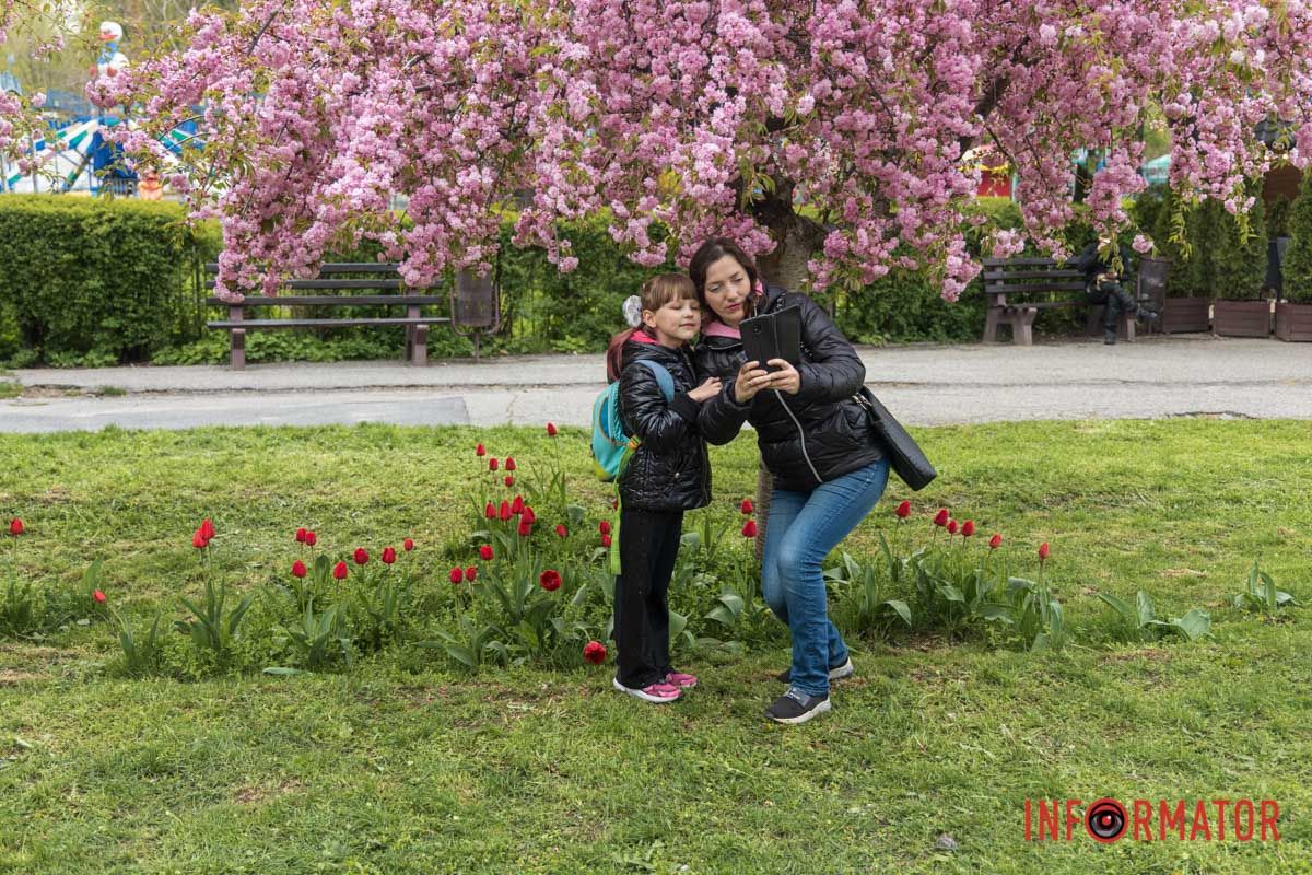 Містяни прогулюються алеями.