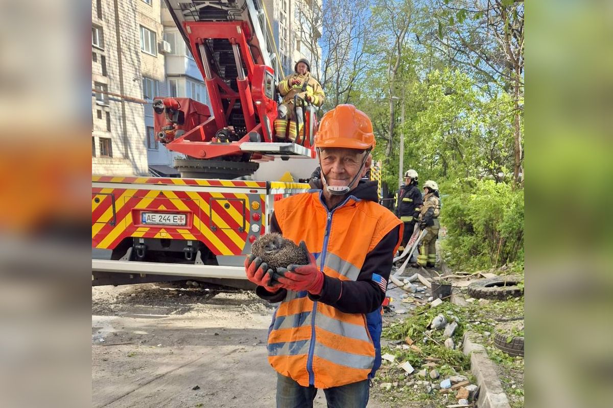 Підступно вночі росіяни поцілили БпЛА по 13-поверхівці у Дніпрі: фото з місць атак 15