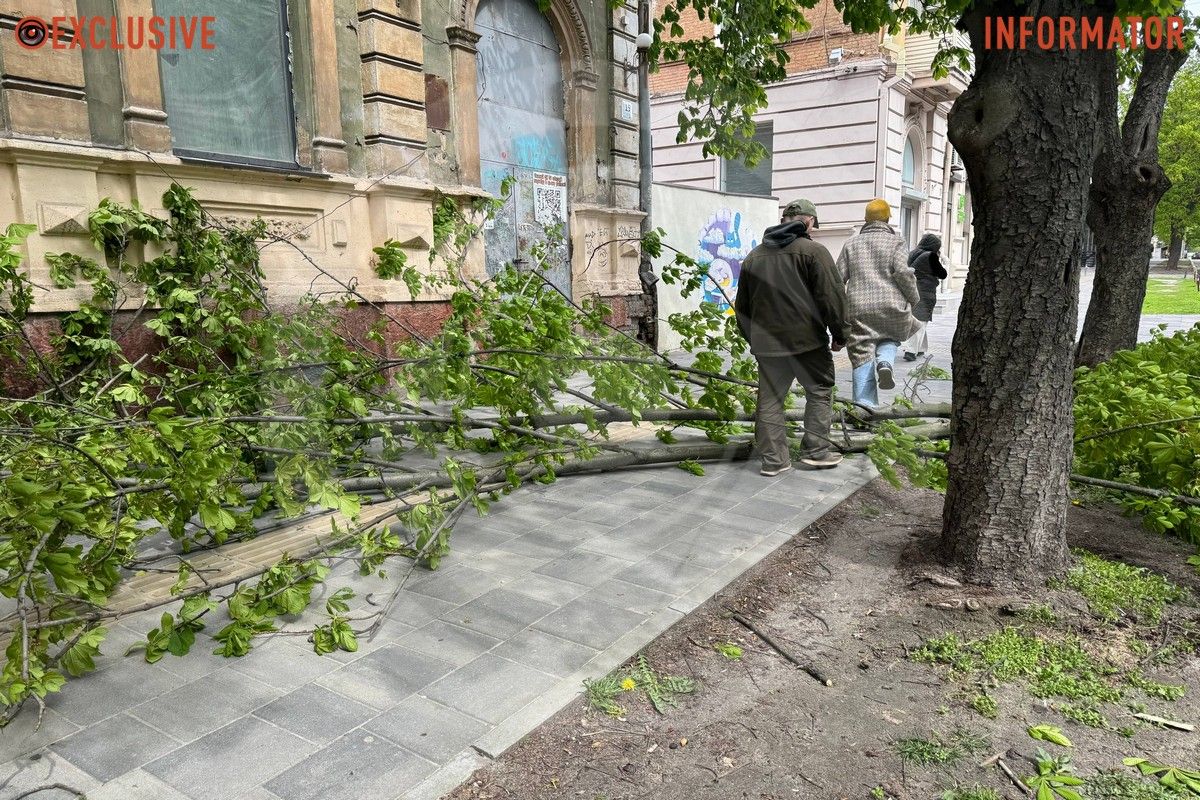 Деревопад в Днепре: ветки падают на дороги, тир и детские площадки из-за сильного ветра.
