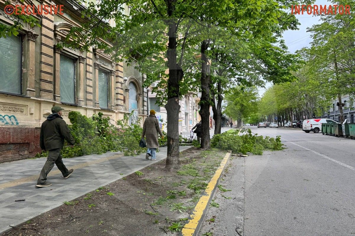 Деревопад в Днепре: ветки падают на дороги, тир и детские площадки из-за сильного ветра 9