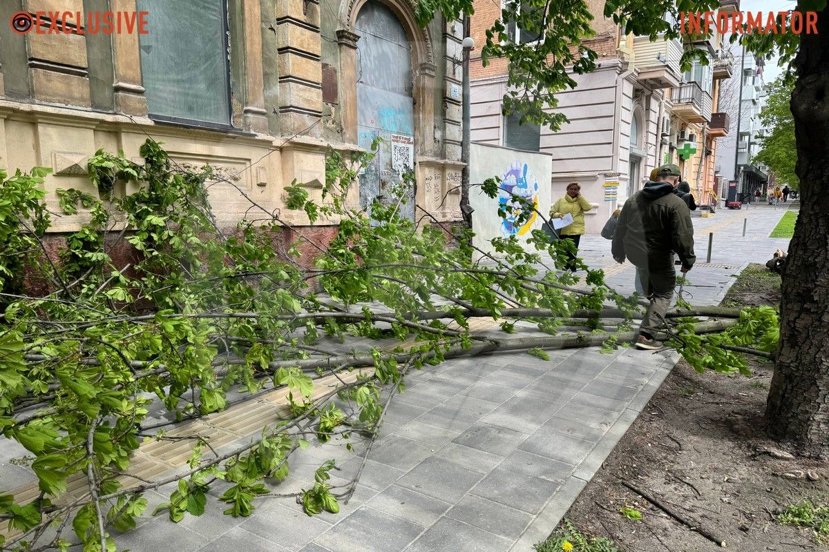 Деревопад в Днепре: ветви падают на дороги, тир и детские площадки из-за сильного ветра.